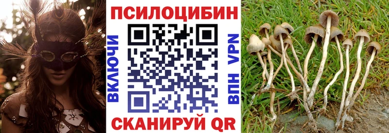дарнет шоп  Волоколамск  Псилоцибиновые грибы ЛСД 