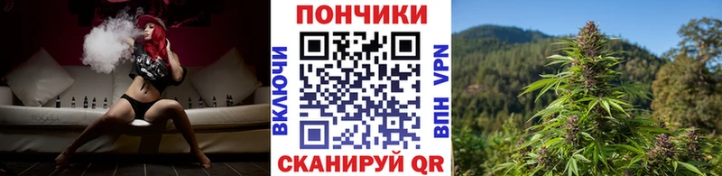дарнет шоп  Волоколамск  Каннабис MAZAR 
